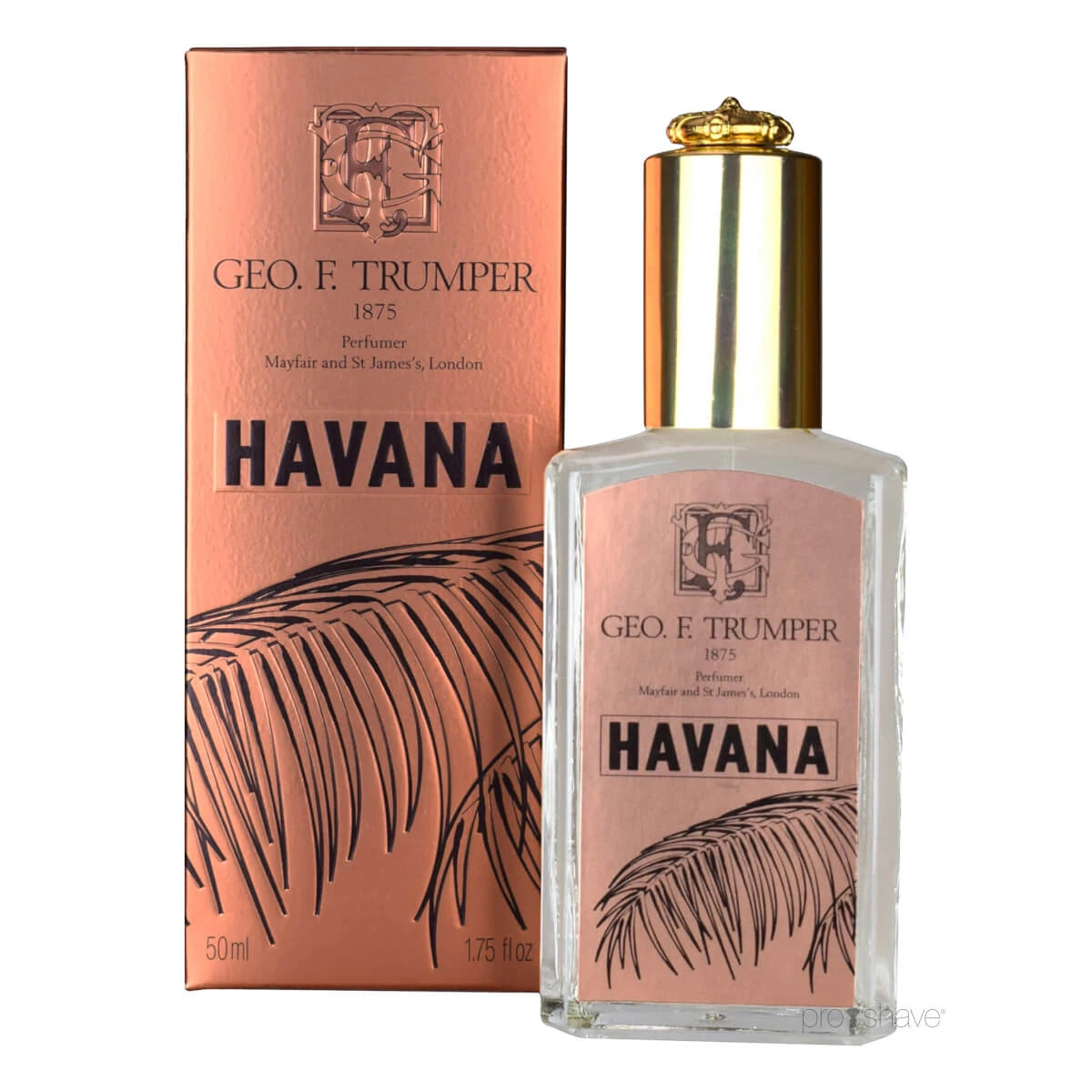 Köln, Havana, 50 ml