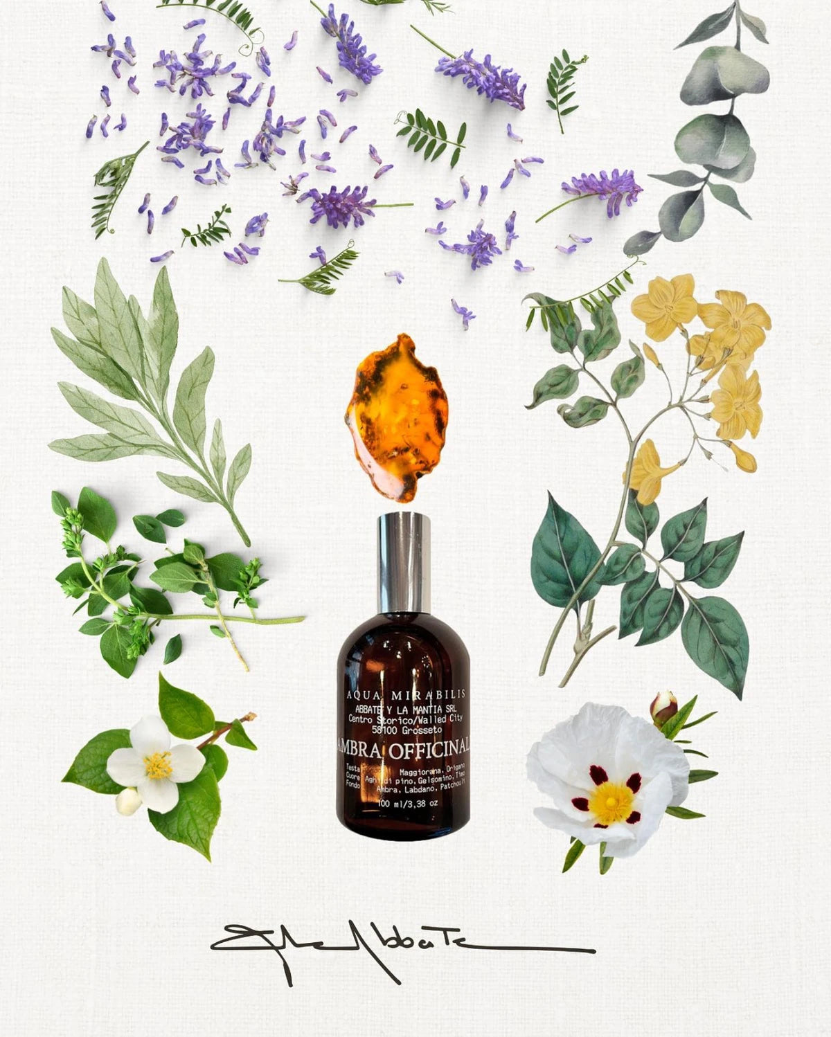 Aqua Mirabilis, Ambra Officinale, 100 ml.