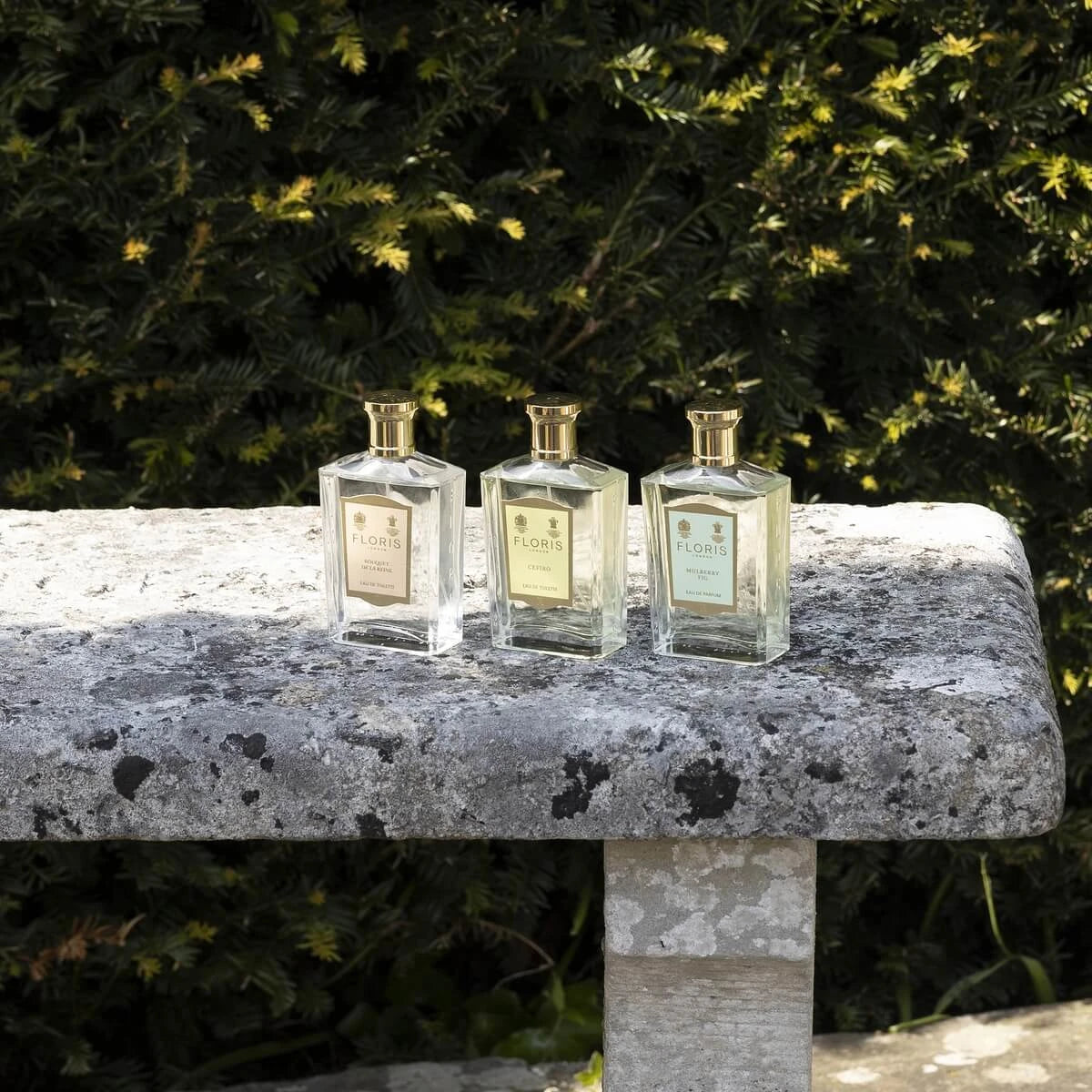 Mulberry Fig, Eau de Parfym, 100 ml.