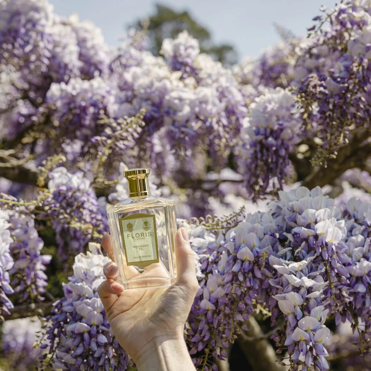 Mulberry Fig, Eau de Parfym, 100 ml.