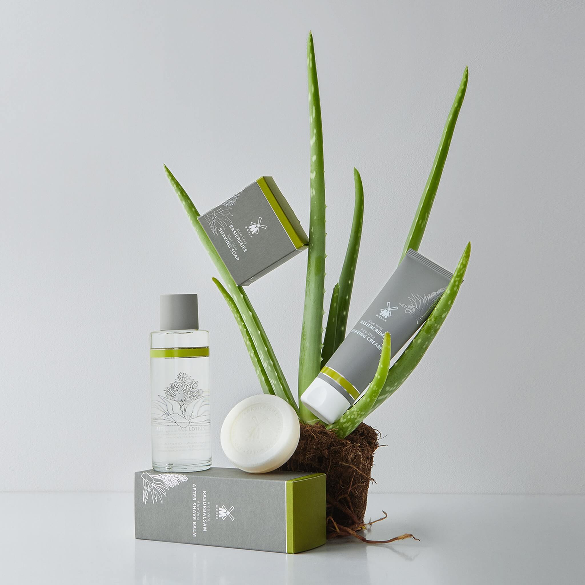 Raktvål, Aloe Vera, 65 gr.