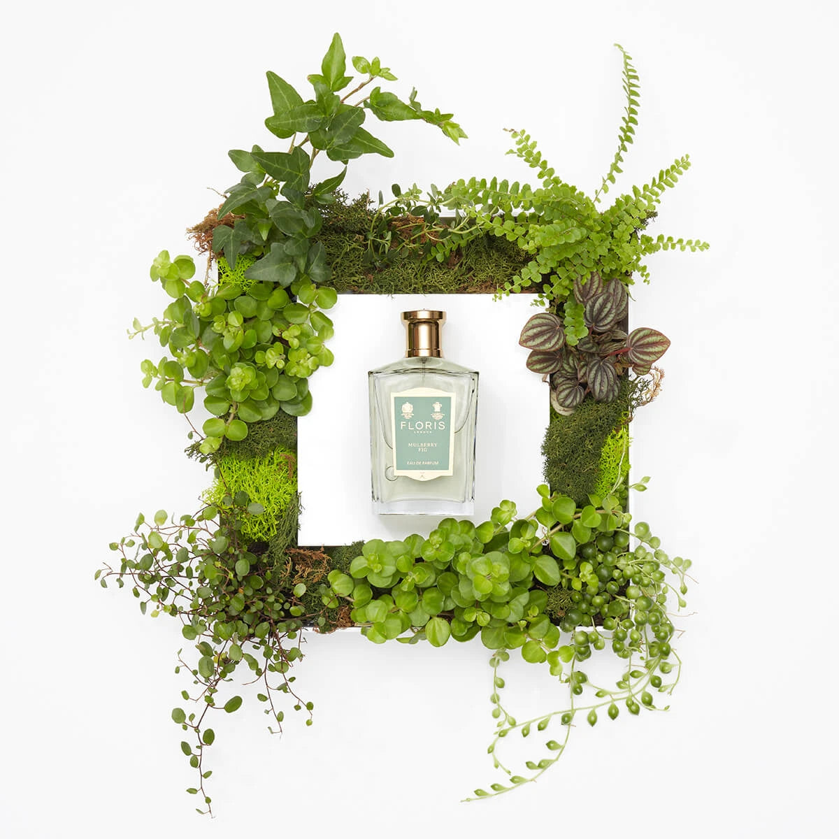 Mulberry Fig, Eau de Parfym, 50 ml.
