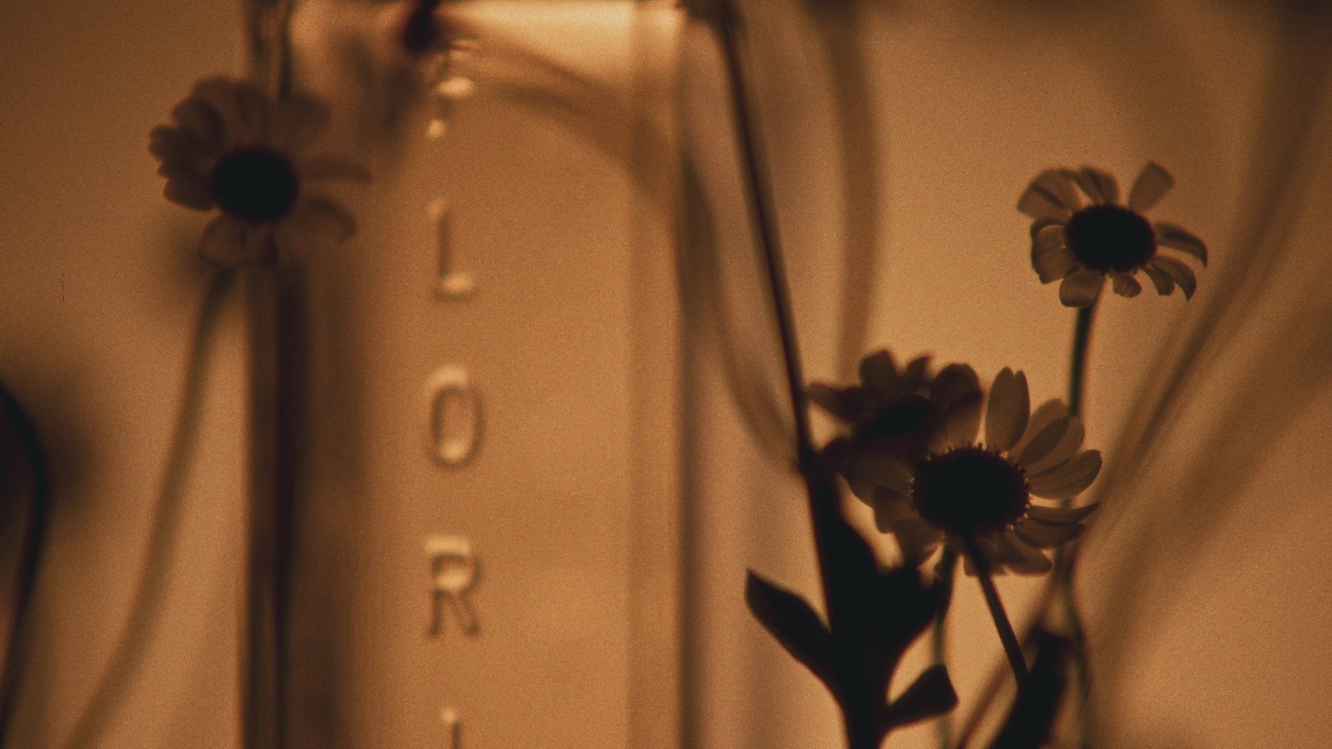 Ladda video: Celest, Eau de Parfum, 100 ml.